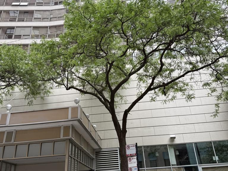 110 E. Delaware Place, Unit 101, Chicago, IL