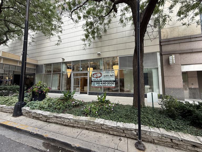 110 E. Delaware Place, Unit 101, Chicago, IL